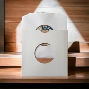 Cleangroove - Nettoyeur de vinyles à ultrasons