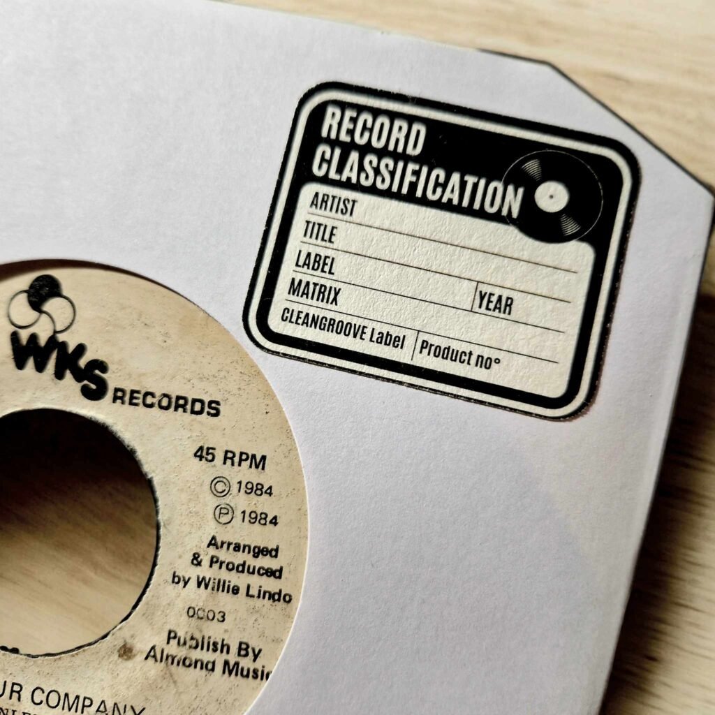 Cleangroove - Nettoyeur de vinyles à ultrasons