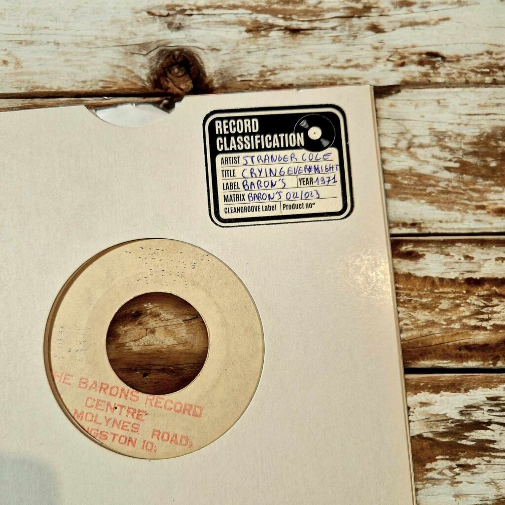 Cleangroove - Nettoyeur de vinyles à ultrasons