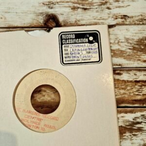 Cleangroove - Nettoyeur de vinyles à ultrasons
