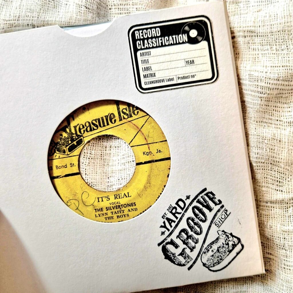 Cleangroove - Nettoyeur de vinyles à ultrasons
