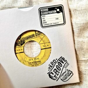 Cleangroove - Nettoyeur de vinyles à ultrasons