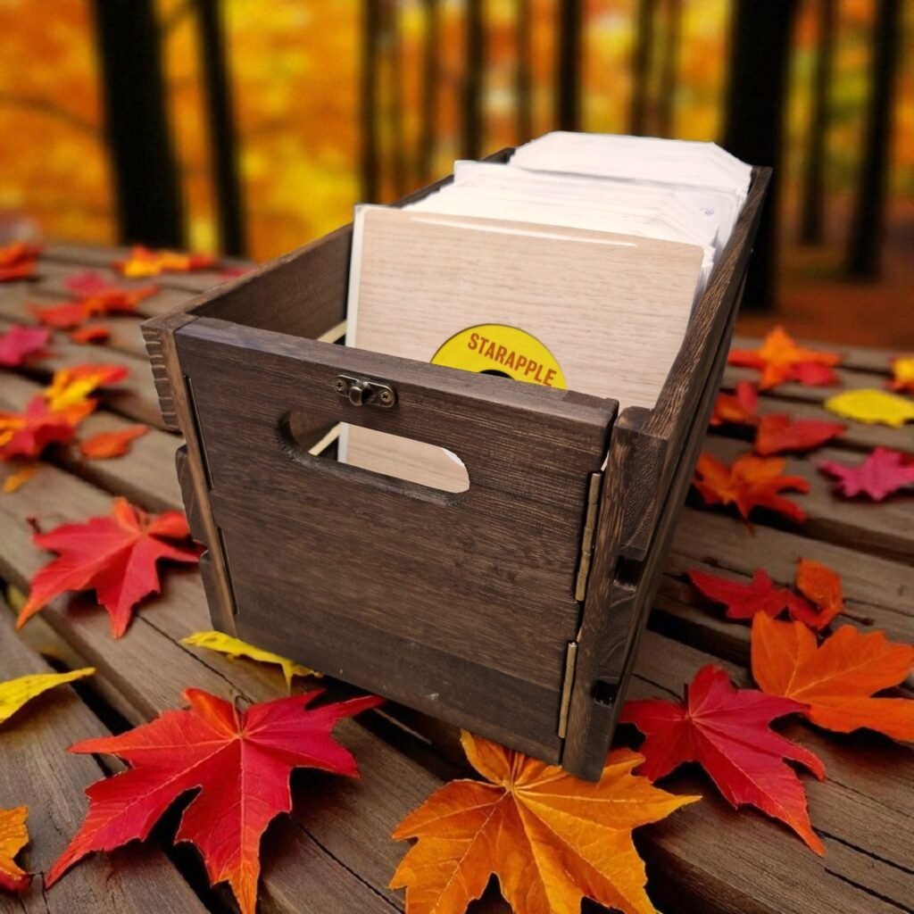 Cleangroove - Nettoyeur de vinyles à ultrasons